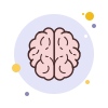 brain